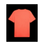 Puma - Teamfinal26 – Image 7