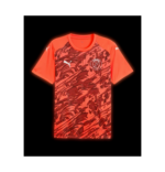 Puma - Teamfinal26 – Image 6